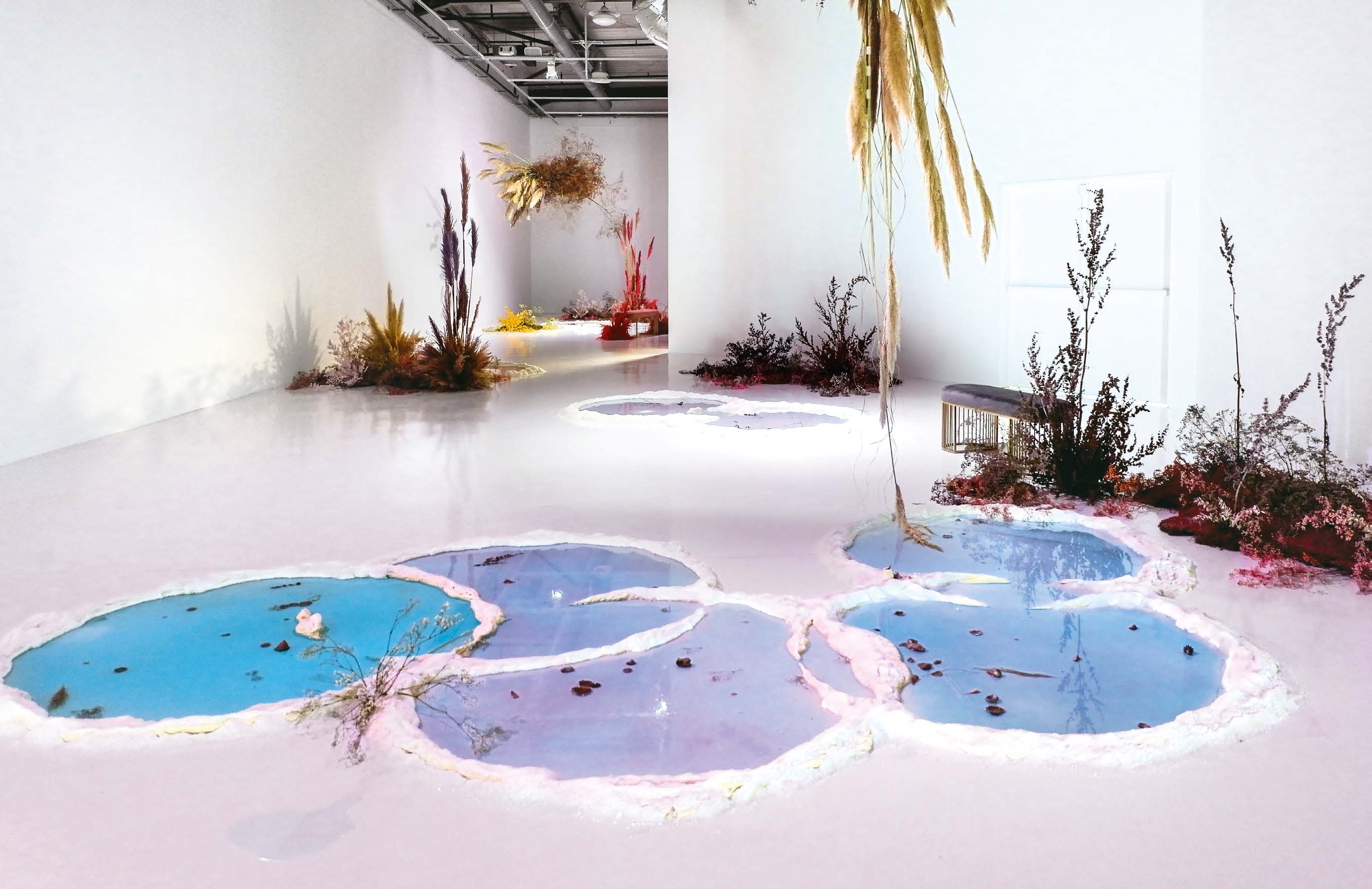 Dossier : L’art contemporain et l’eau