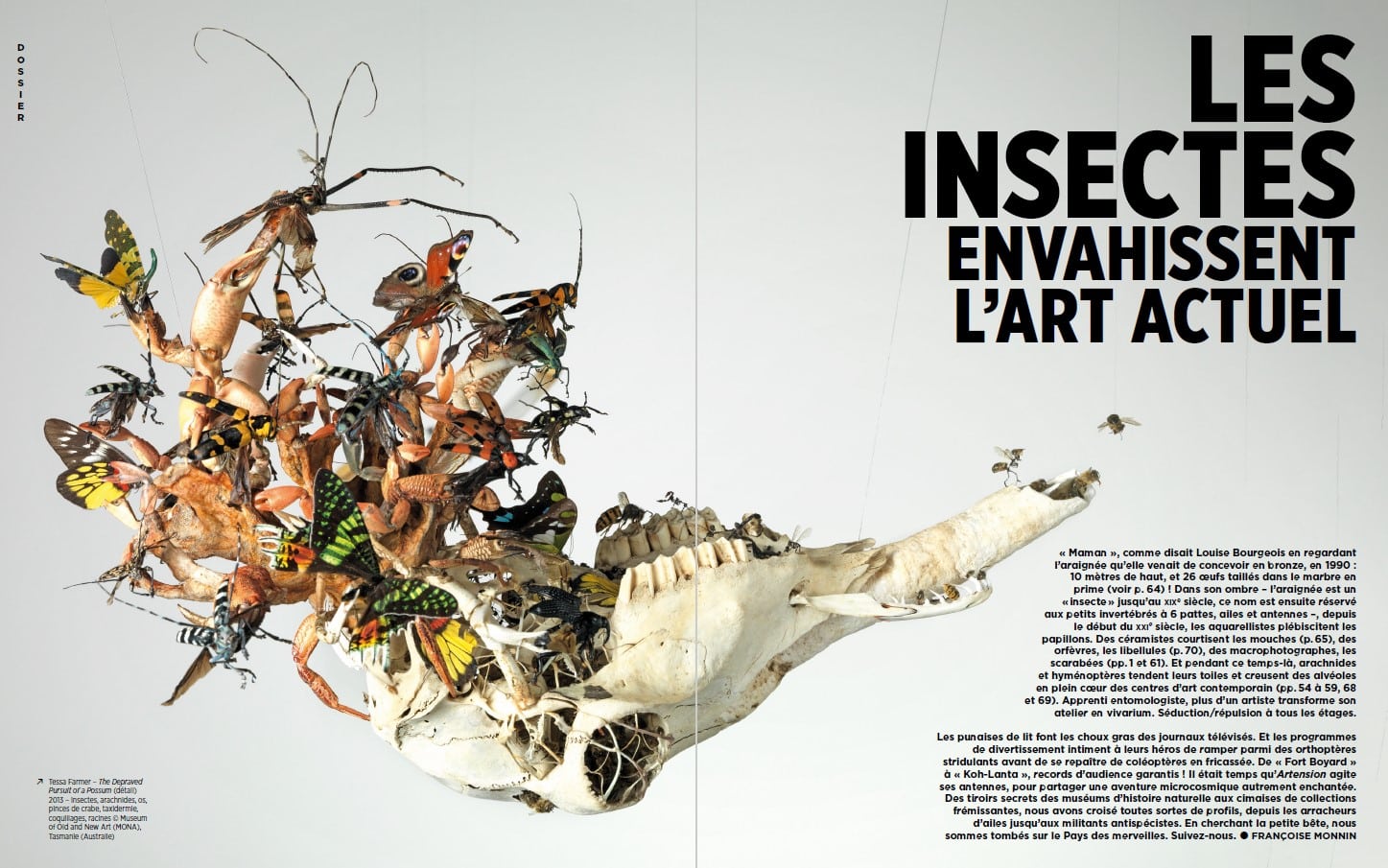 Grand dossier : les insectes envahissent l’art actuel